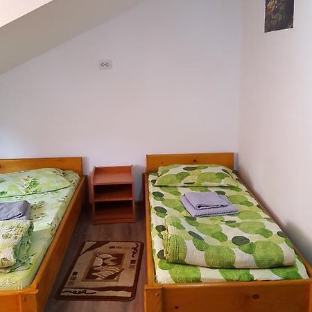 Sasca Montană Casa Borceanヴィラ エクステリア 写真