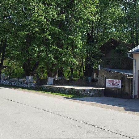 Sasca Montană Casa Borceanヴィラ エクステリア 写真