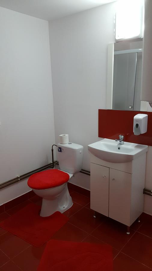 Sasca Montană Casa Borceanヴィラ エクステリア 写真
