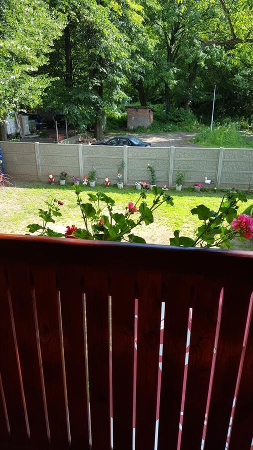 Sasca Montană Casa Borceanヴィラ エクステリア 写真
