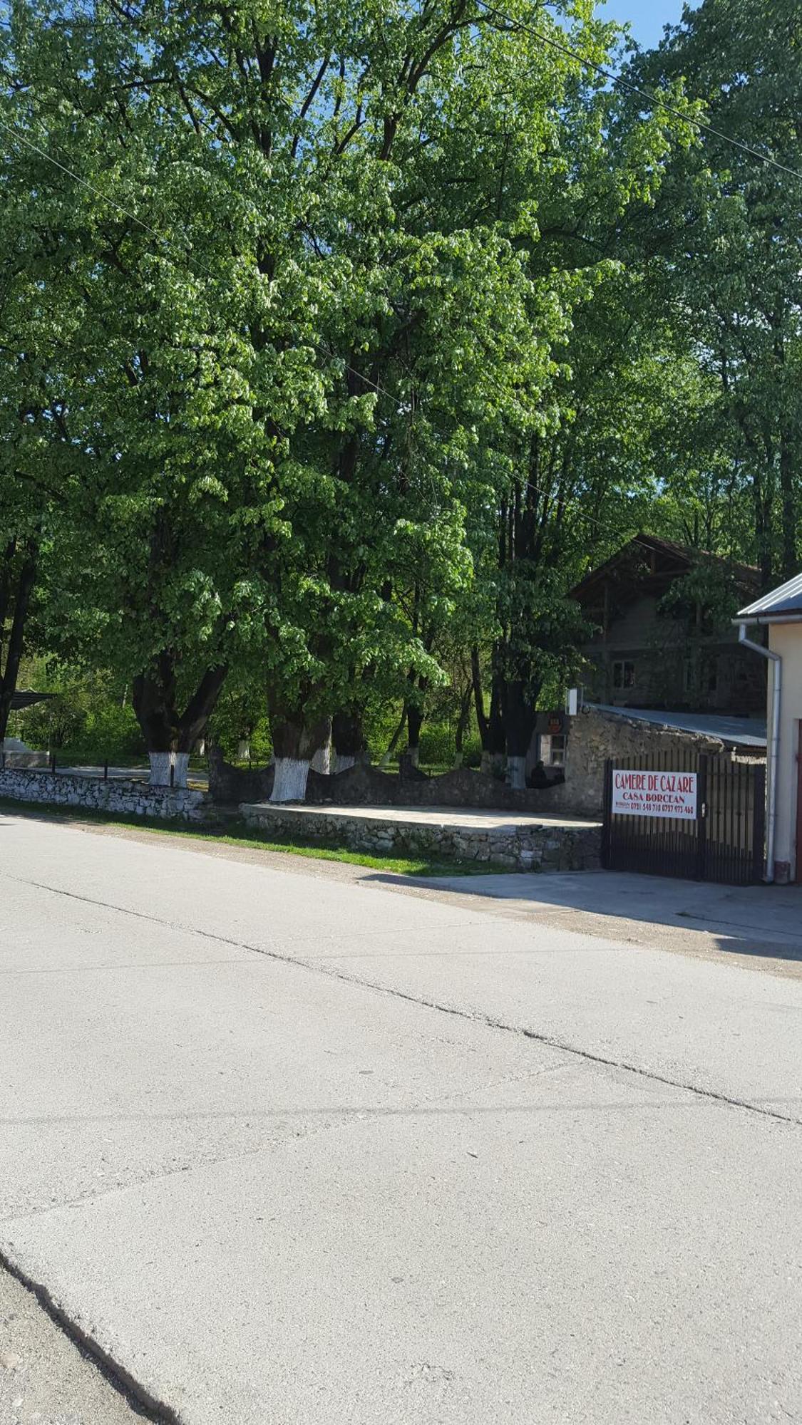 Sasca Montană Casa Borceanヴィラ エクステリア 写真