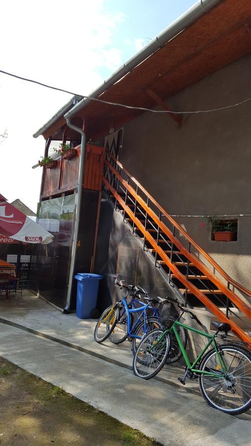 Sasca Montană Casa Borceanヴィラ エクステリア 写真